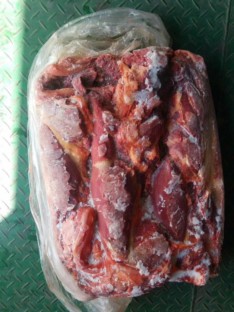 蒙古马肉