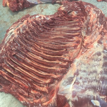 蒙古马肉