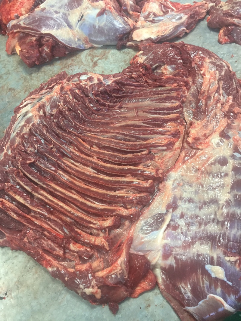 蒙古马肉