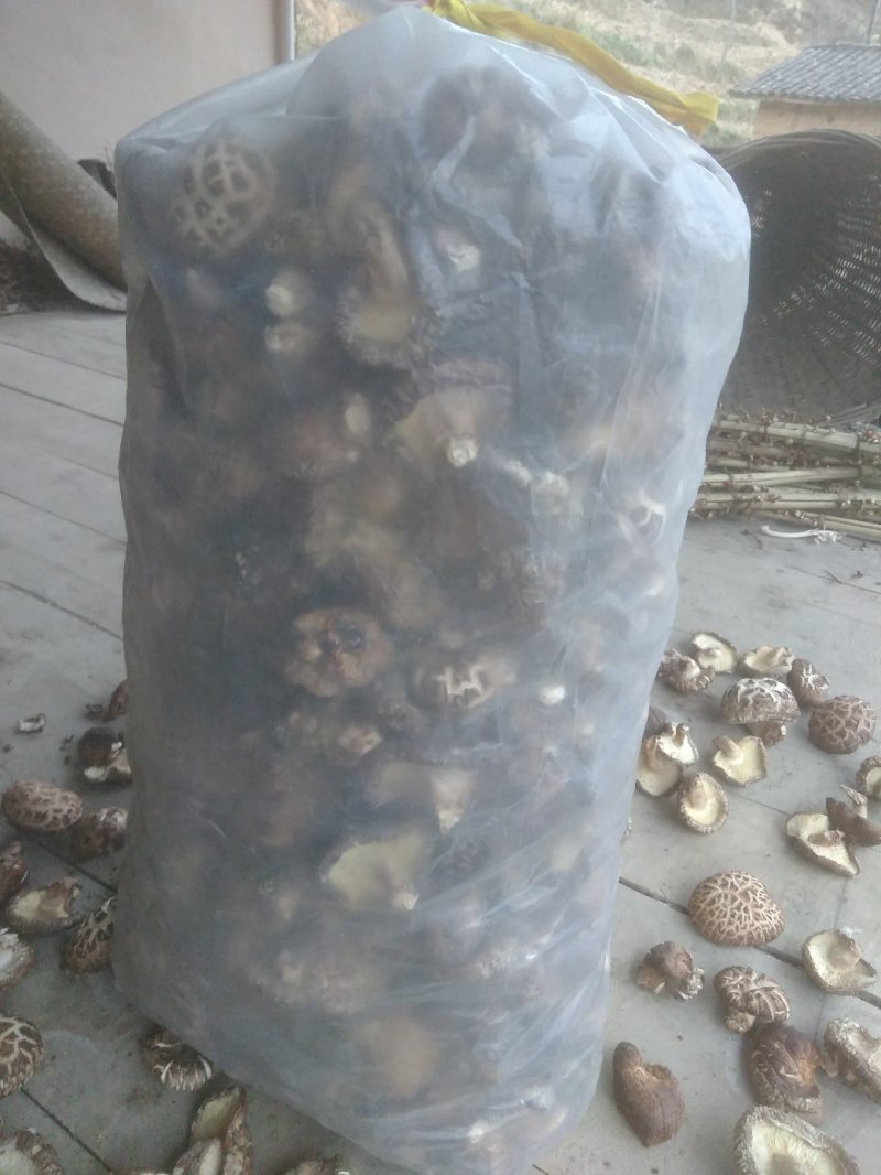 新货香菇无根香菇餐饮黄焖鸡香菇干货秋冬菇商用香菇2斤包邮