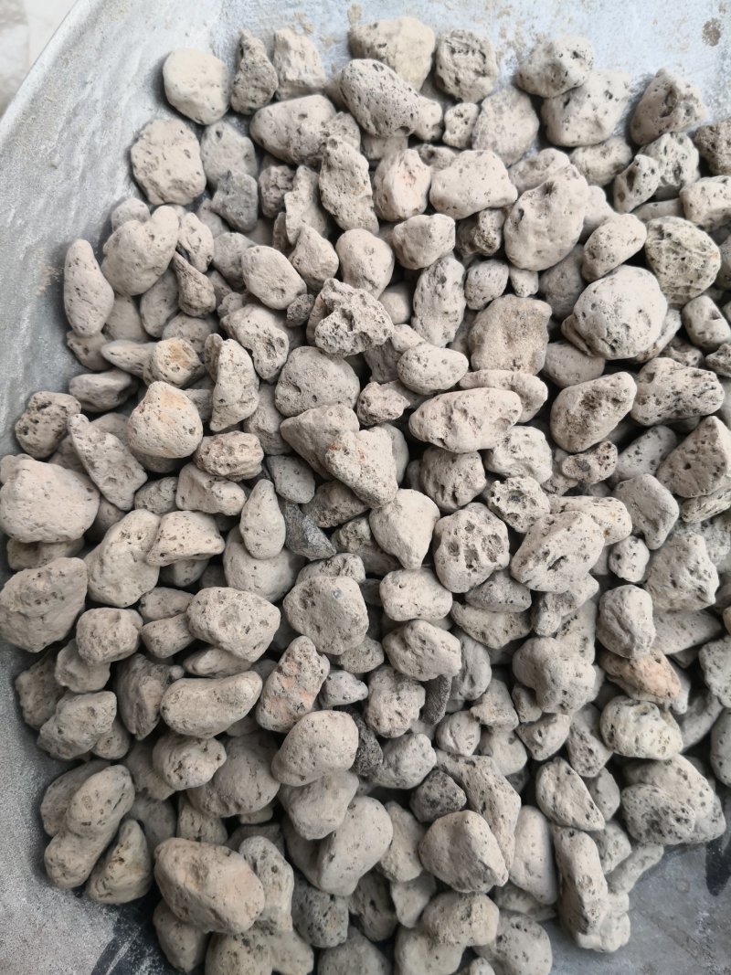 海浮石海浮石花各种规格中药材批发