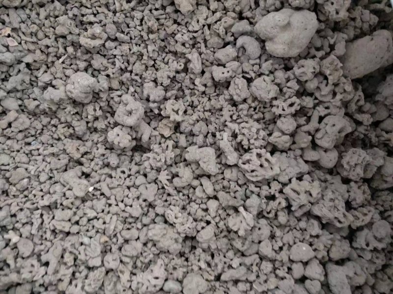 海浮石海浮石花各种规格中药材批发