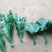 海南富贵竹红竹观音竹莲花竹招财竹紫竹海南种植基地拿样价