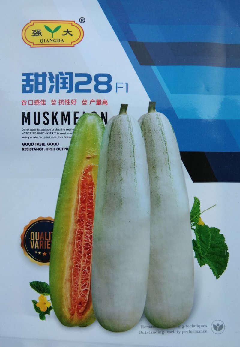 500粒杂交一代甜润28F1羊角蜜种子