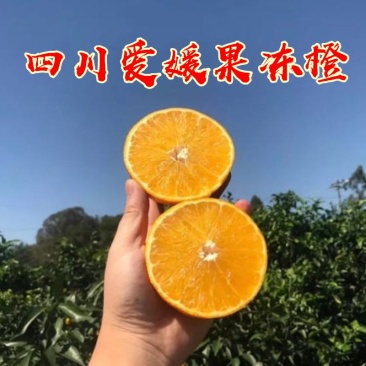 【支持一件代发】四川正宗爱媛38号果冻橙，超甜无酸