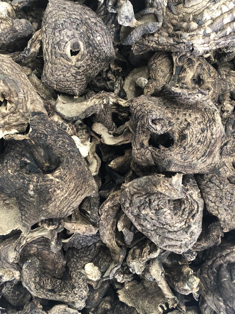 黑虎掌菌干货能耳蘑菇韩国出口产地批发现货大货直供