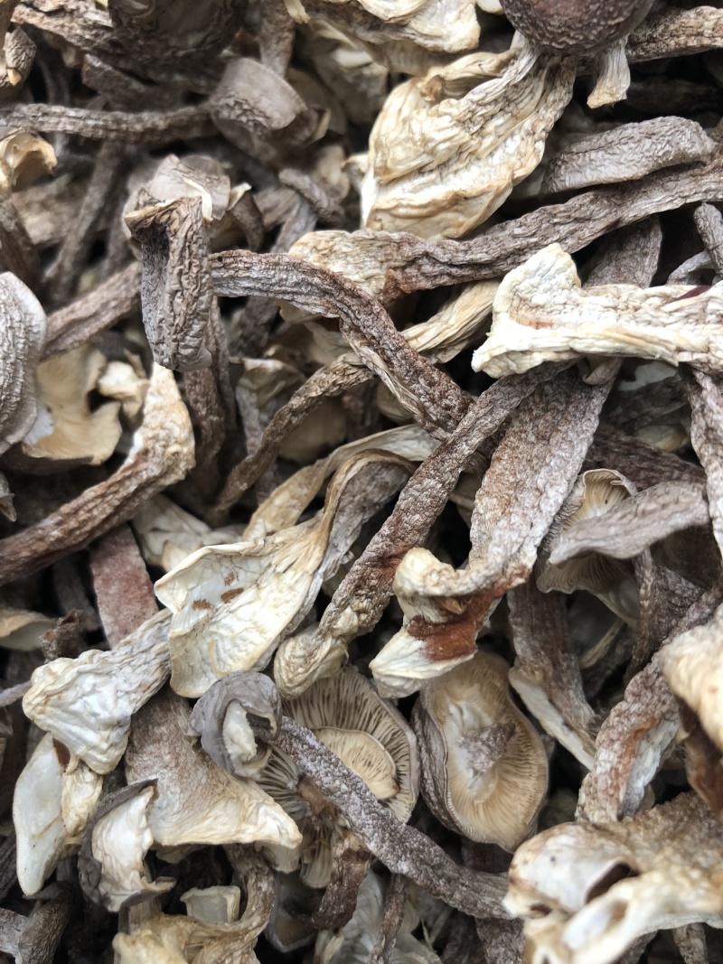 鹿茸菇干货酒店餐饮直供场地直销批现货批发