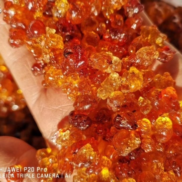 中药树脂类颗粒桃胶大颗粒桃胶小颗粒桃胶