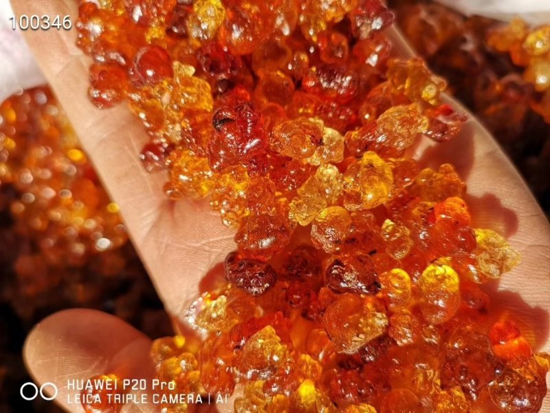 中药树脂类颗粒桃胶大颗粒桃胶小颗粒桃胶