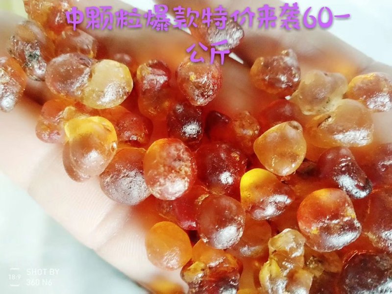 中药树脂类颗粒桃胶大颗粒桃胶小颗粒桃胶