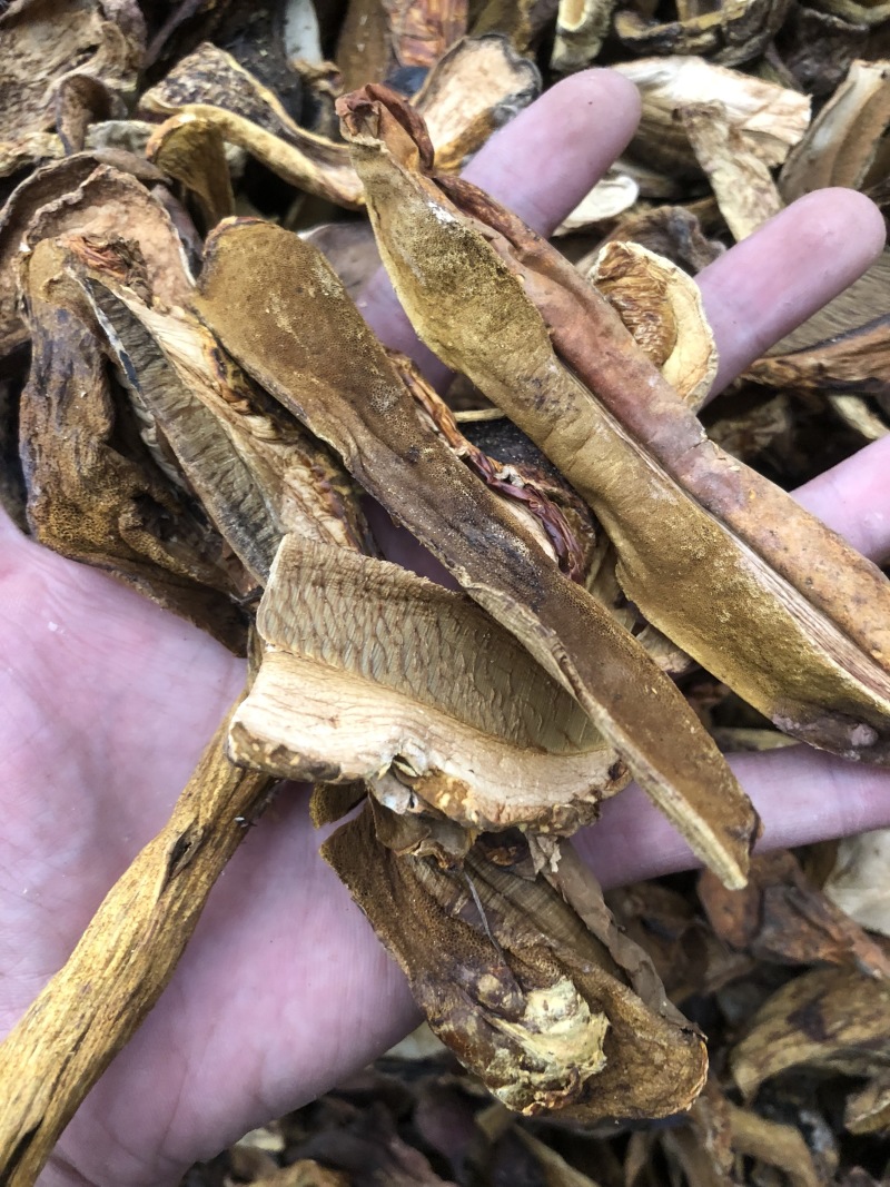 野生黄牛肝干货黄赖头产地直销批发酒店熬汤料大货直供