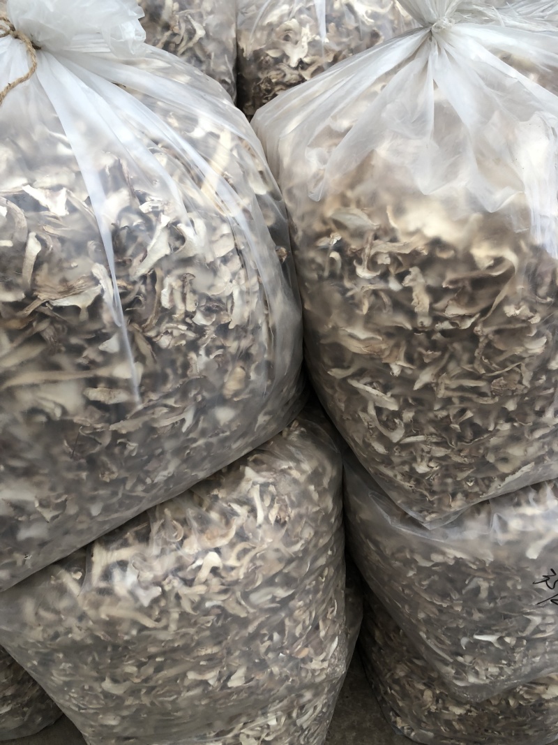野生去皮青杆菌青冈菌干货好质量产地直销批发