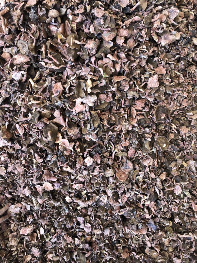 野生红乳牛肝菌干货产地大货批发量大从优