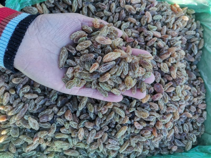 葡萄干新疆葡萄干批发零售各种等级规格