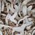 野生松茸干片松蘑台菌产地直销批发现货供应量大从优