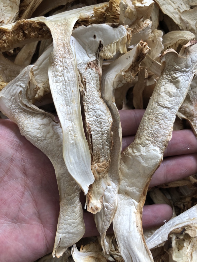 藏区野生松茸干片酒店餐饮直供批发产地现货供应
