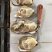 鲜活乳山生蚝1-2两140斤装批发
