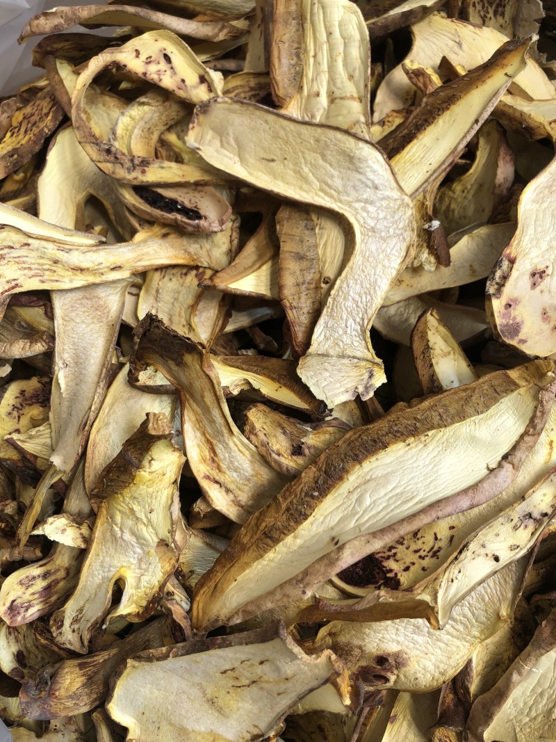 野生红葱菌干货好质量产地直销批发