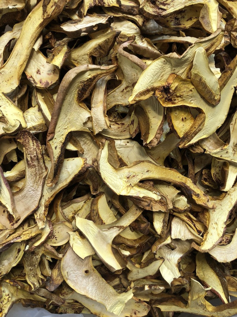 野生红葱菌干货好质量产地直销批发
