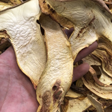 野生红葱菌干货好质量产地直销批发
