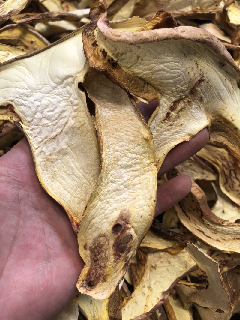 野生红葱菌干货好质量产地直销批发