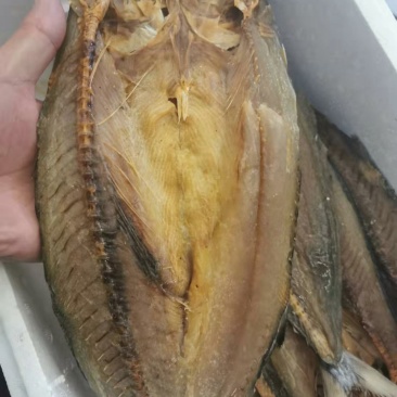 风干，淡干鲅鱼干
