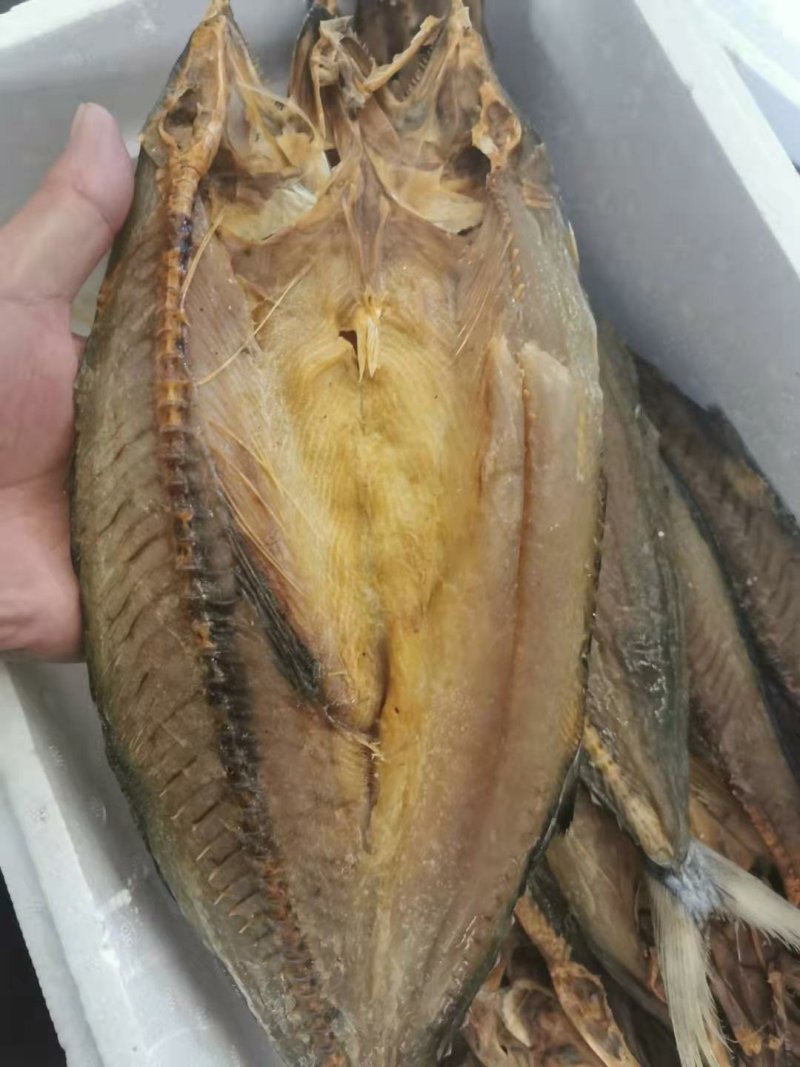 风干，淡干鲅鱼干