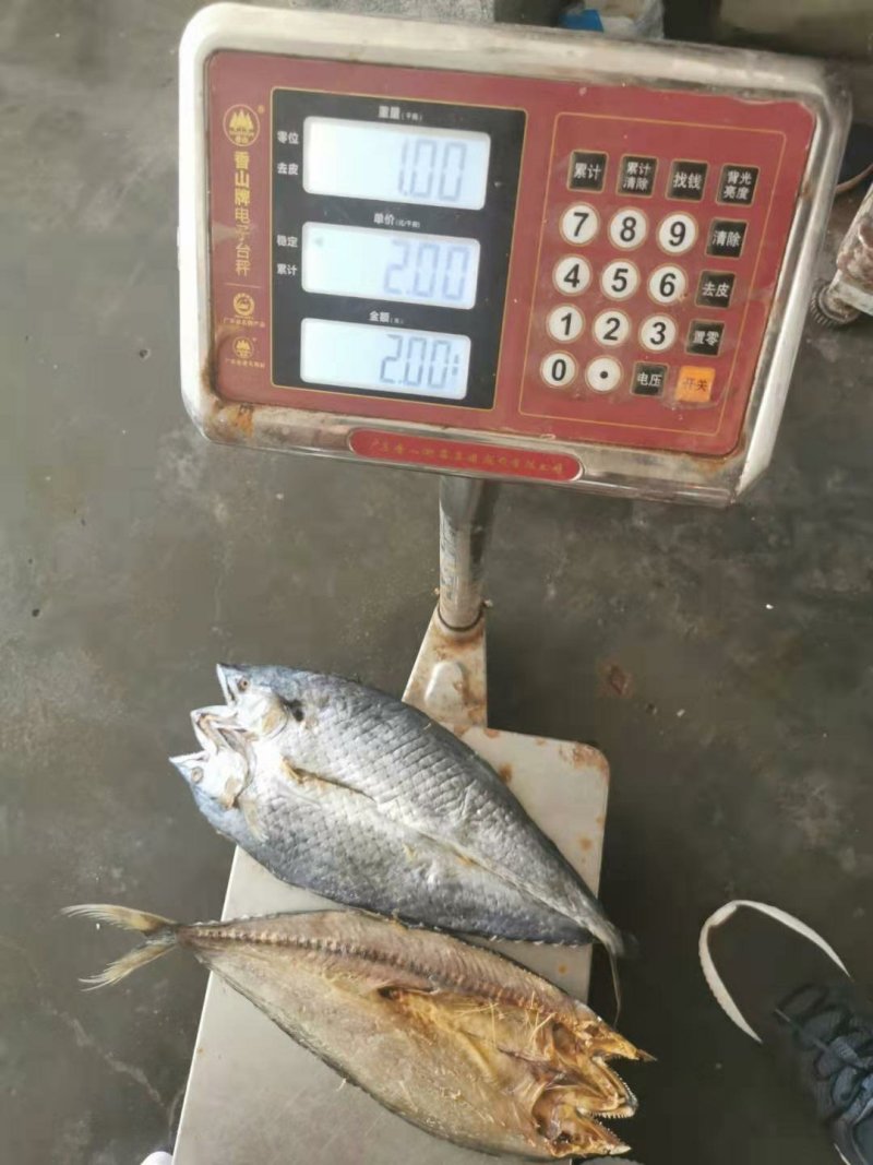风干，淡干鲅鱼干