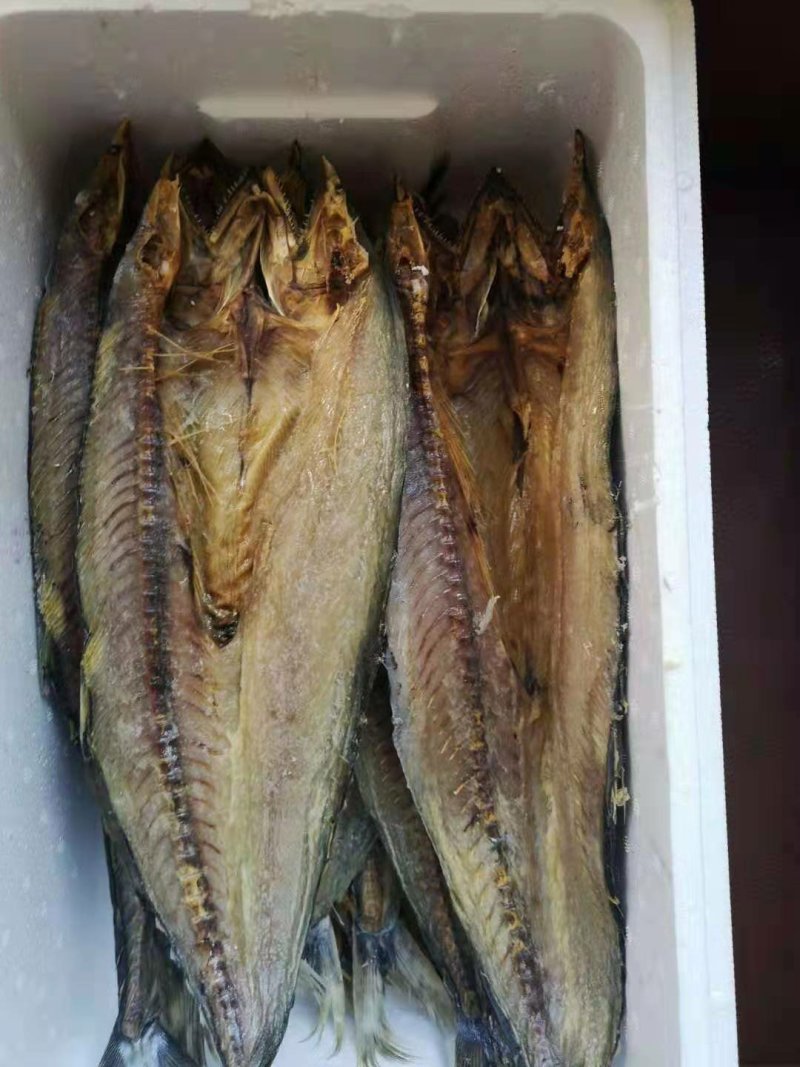 风干，淡干鲅鱼干