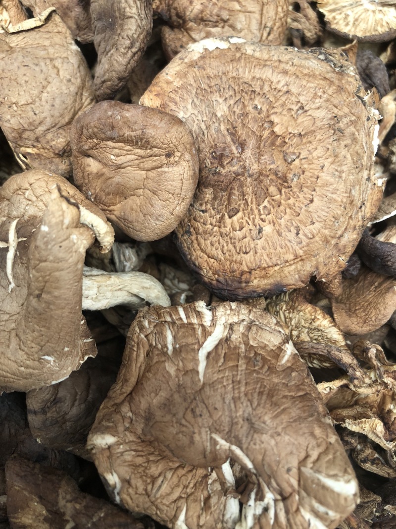 纯野生香菇干货香菌冬菇产地直销批发大货直供量大从优