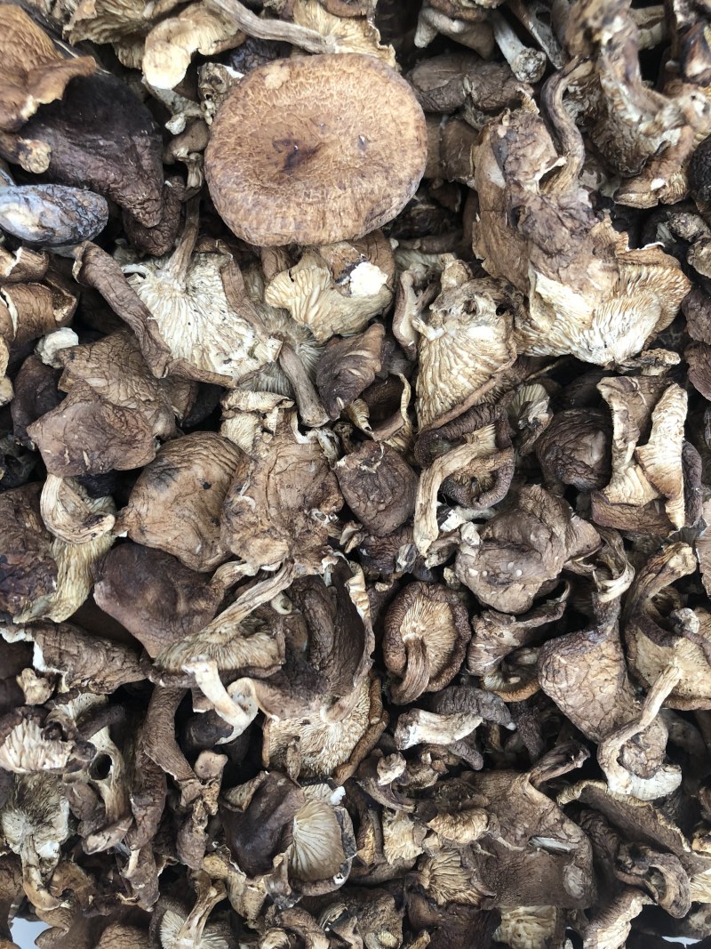 纯野生香菇干货香菌冬菇产地直销批发大货直供量大从优