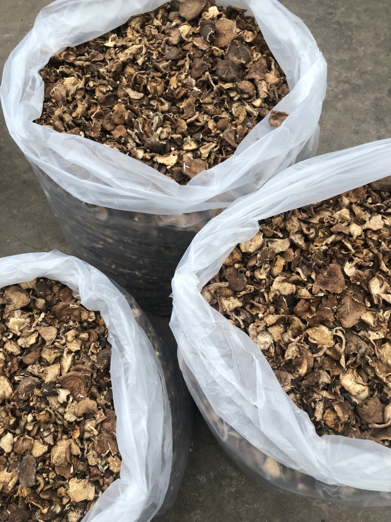 纯野生香菇干货香菌冬菇产地直销批发大货直供量大从优