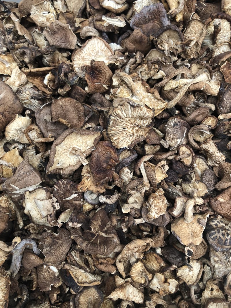 纯野生香菇干货香菌冬菇产地直销批发大货直供量大从优