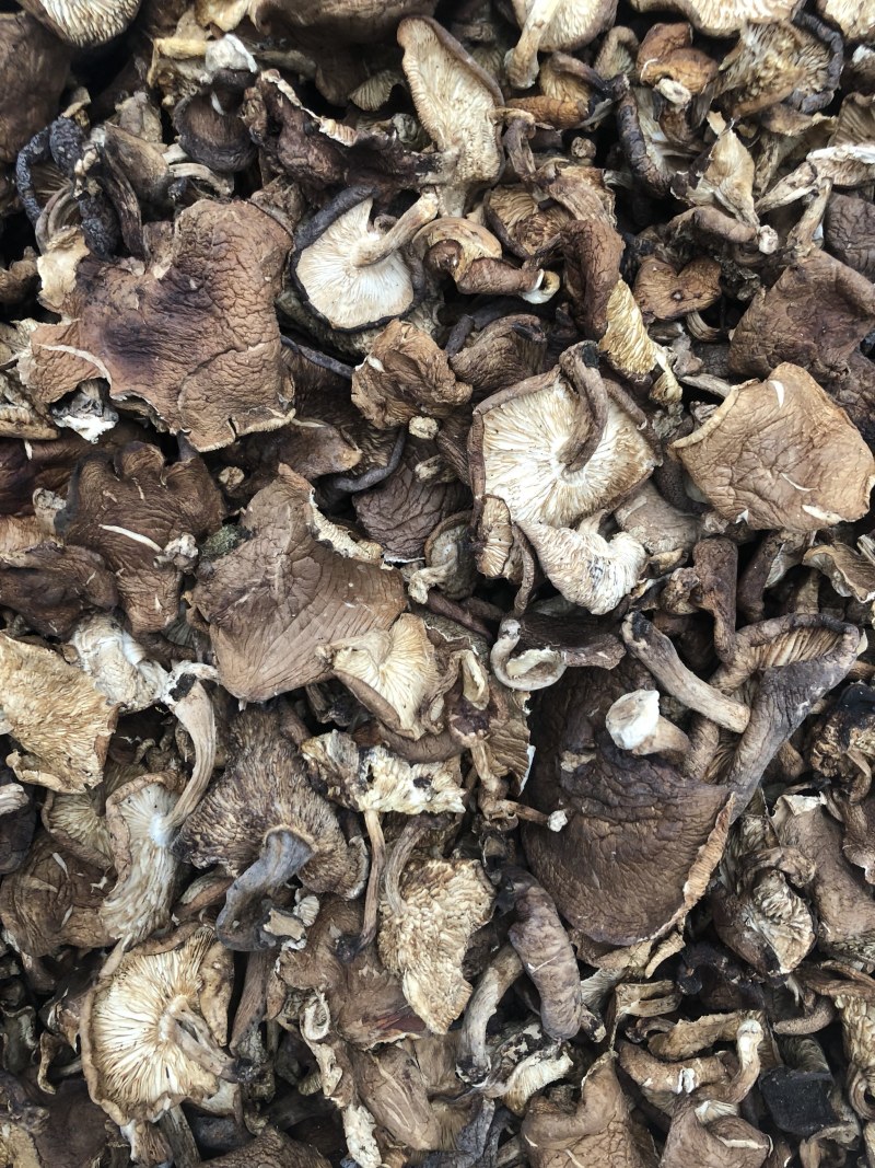 纯野生香菇干货香菌冬菇产地直销批发大货直供量大从优