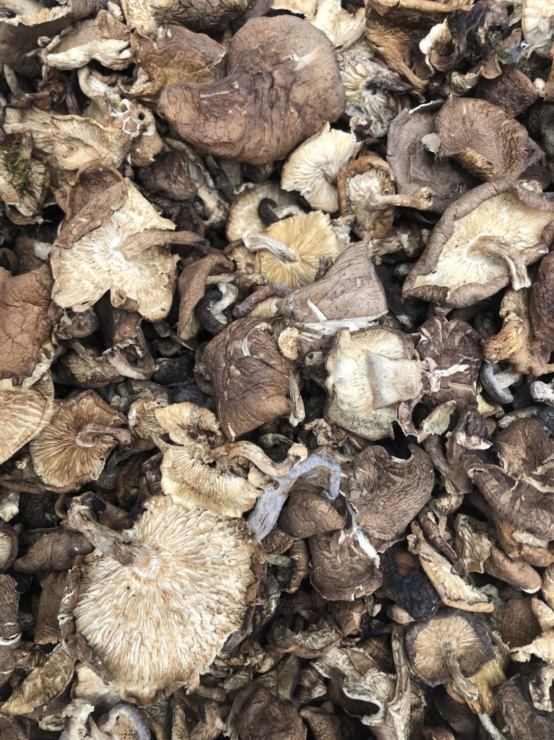 纯野生香菇干货香菌冬菇产地直销批发大货直供量大从优