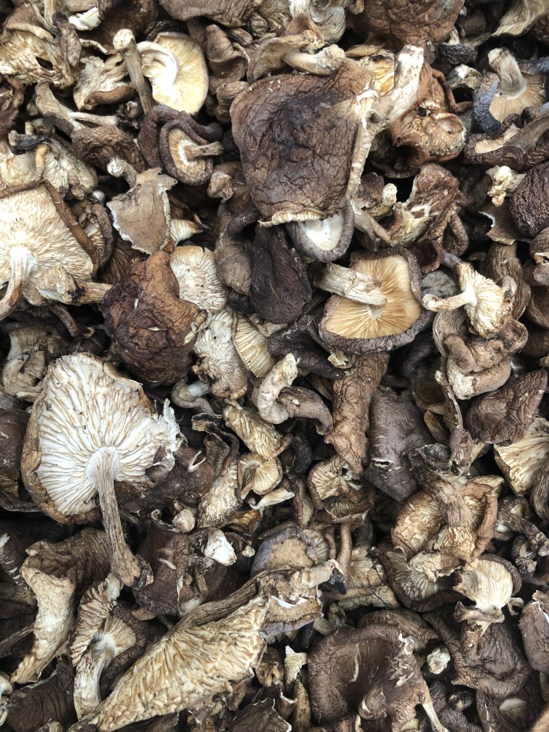 纯野生香菇干货香菌冬菇产地直销批发大货直供量大从优
