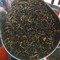 广东特产英德英红九号（碎芽头）