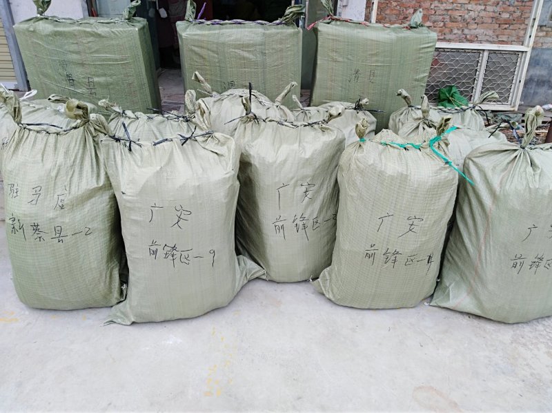 宽厚无沙海带头：深海20公分海带大头.压缩铺平展开