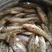 山根鱼，小黄鱼，石头鱼
