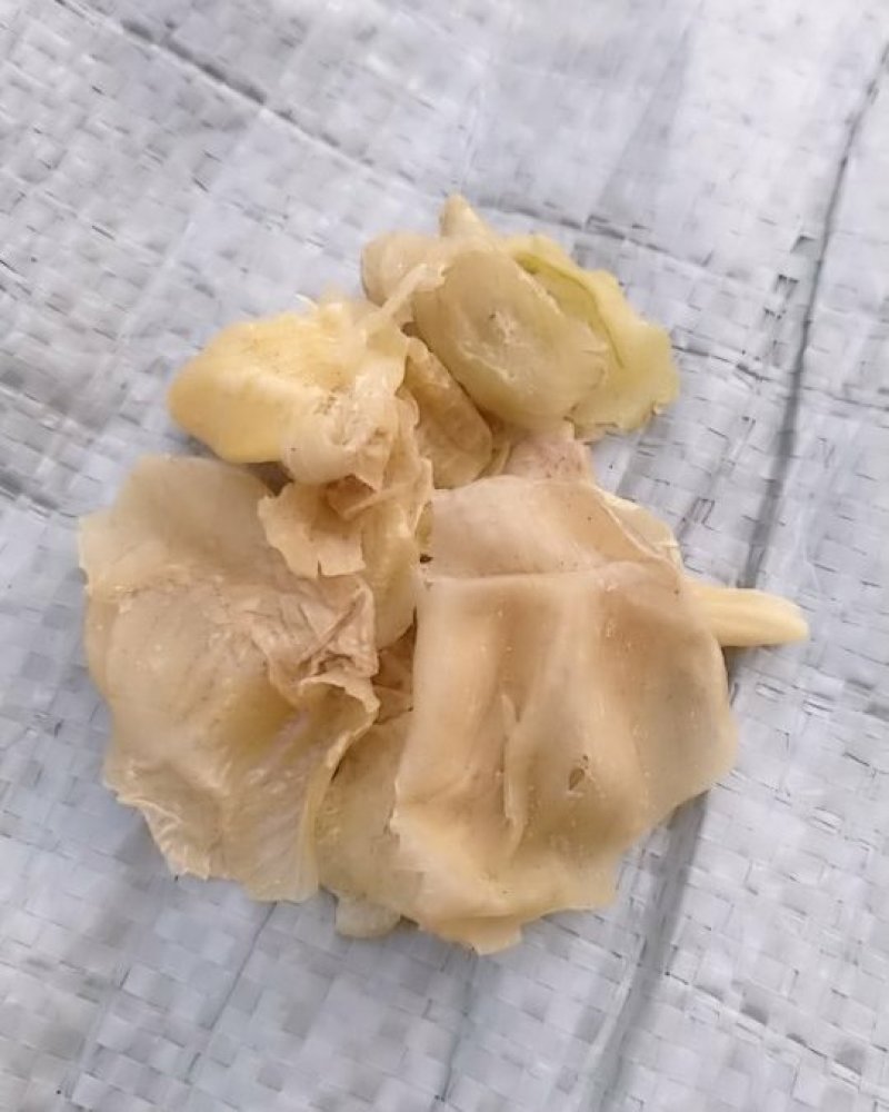 鸡内金各种规格可搭配多品种采购大货联系客服
