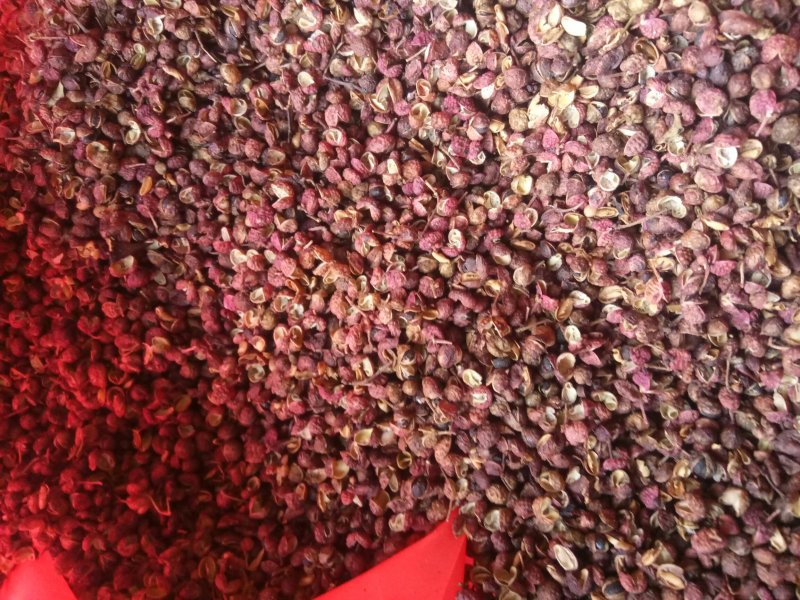 青花椒千余品种供应承接订单