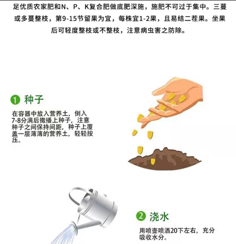 大富农黑美橙西瓜种子优质西瓜种籽抗病黑皮薄橙黄瓤南方四季