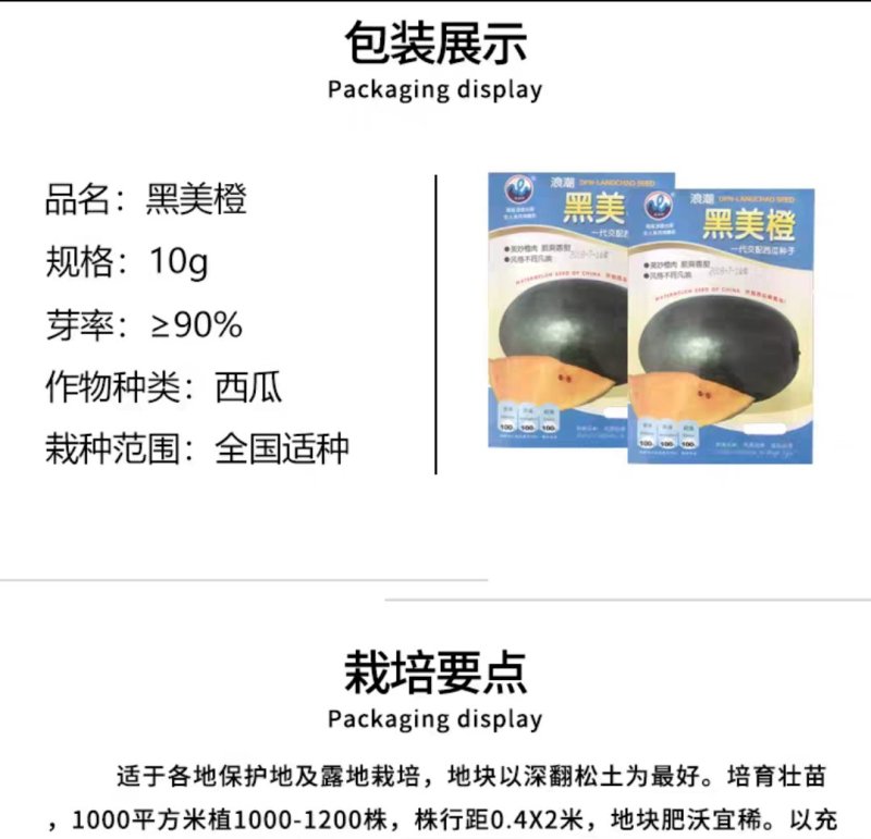 大富农黑美橙西瓜种子优质西瓜种籽抗病黑皮薄橙黄瓤南方四季