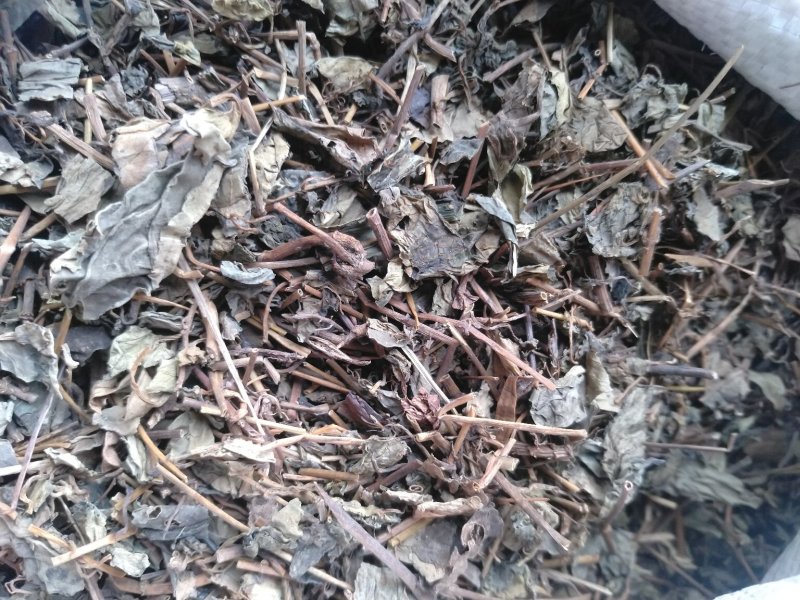 肺行草各种规格可搭配多品种采购大货联系客服