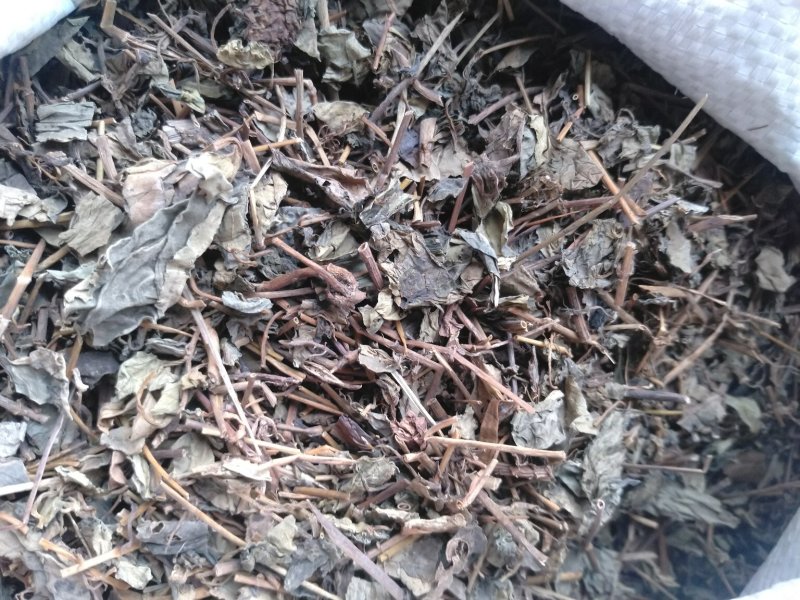 肺行草各种规格可搭配多品种采购大货联系客服
