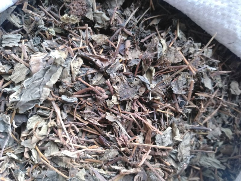 肺行草各种规格可搭配多品种采购大货联系客服