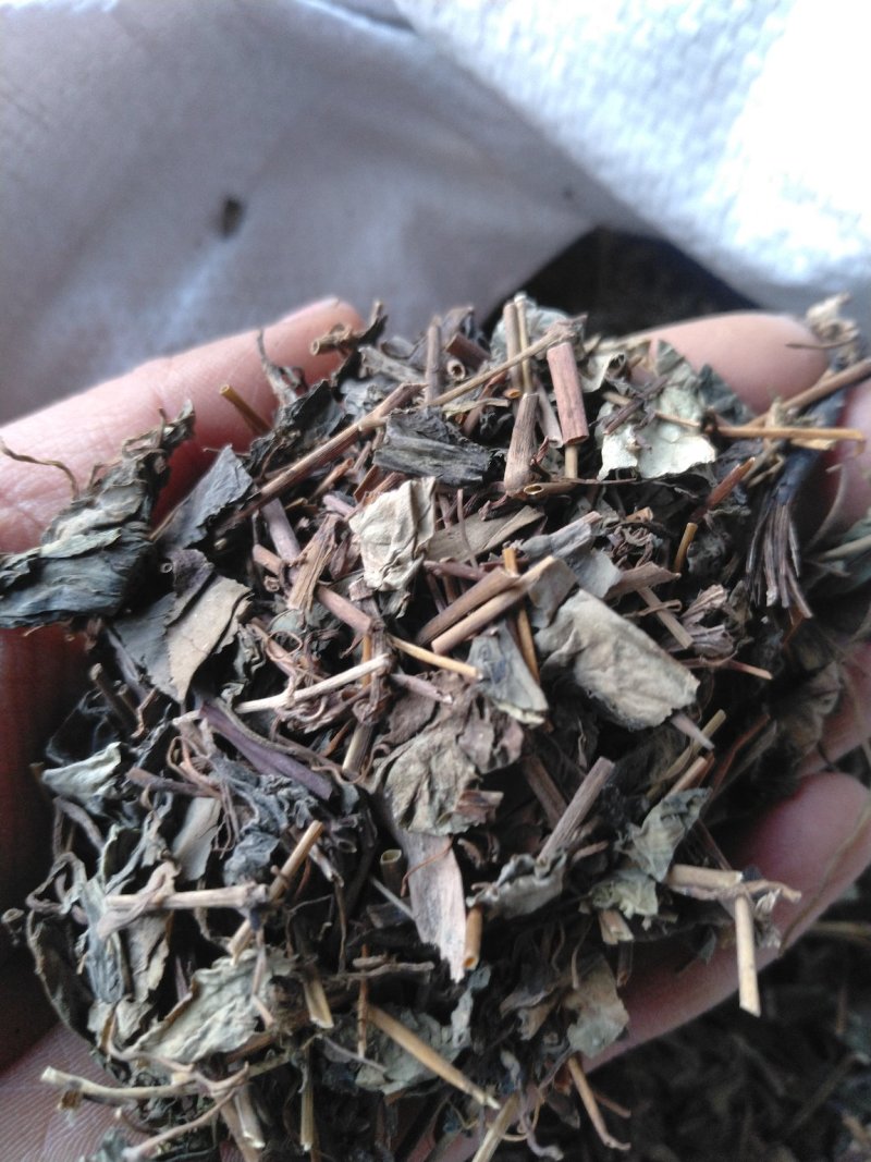 肺行草各种规格可搭配多品种采购大货联系客服