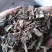肺行草各种规格可搭配多品种采购大货联系客服