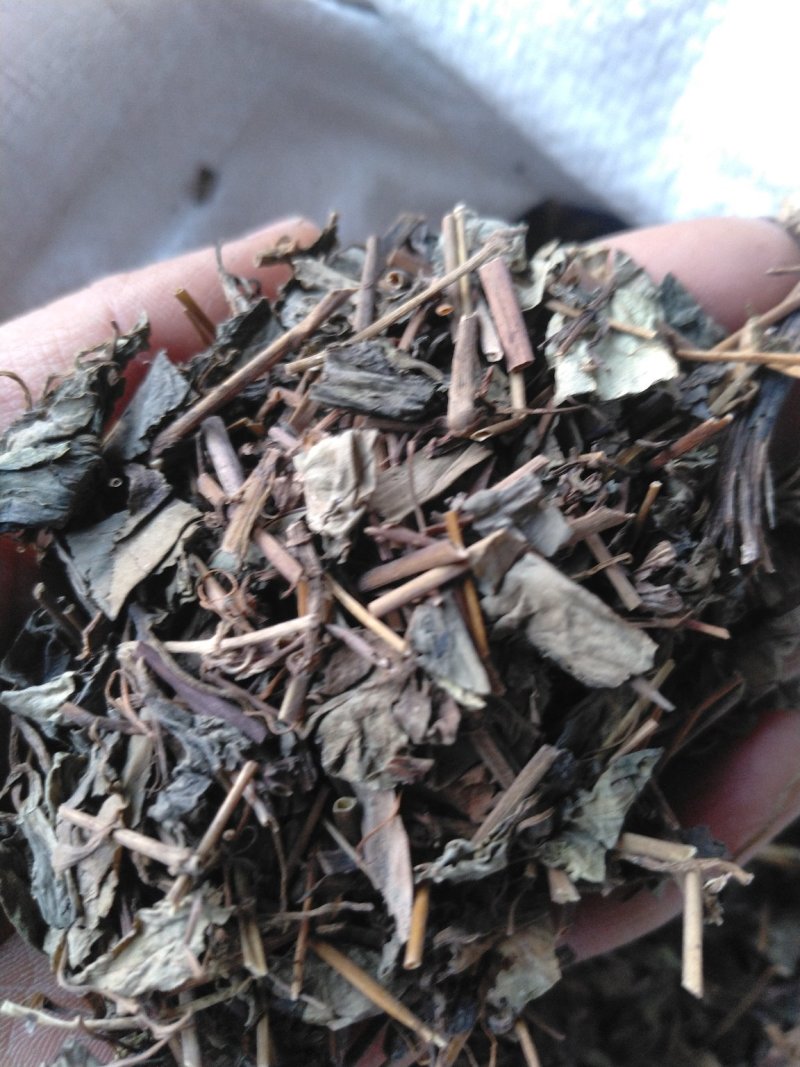 肺行草各种规格可搭配多品种采购大货联系客服