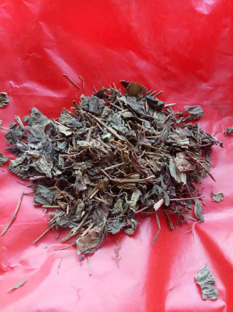 肺形草，蝴蝶草千余品种供应承接订单